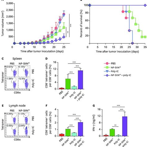 Combination Of NP SIIN Hi And Poly IC Exerts Potent Anti Tumor Effects