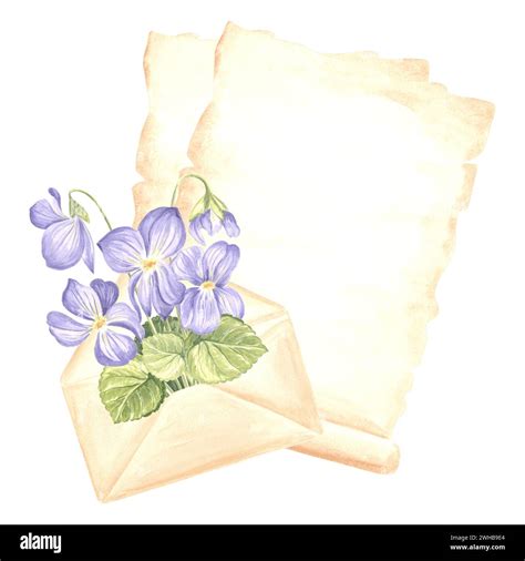 Sheets Of Parchment Paper Open Envelope With Bouquet Of Wild Violets