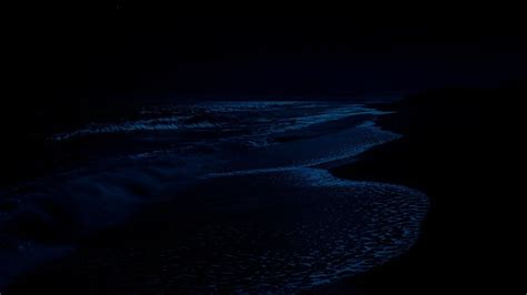 Ocean Waves Sounds At Night Listen To Fall Into Healing Sleep