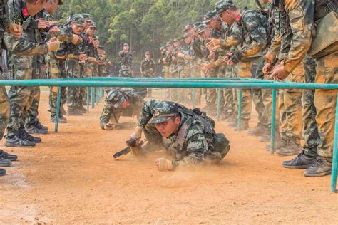 广西崇左：武警新兵训练磨砺血性虎气 军事频道 央视网