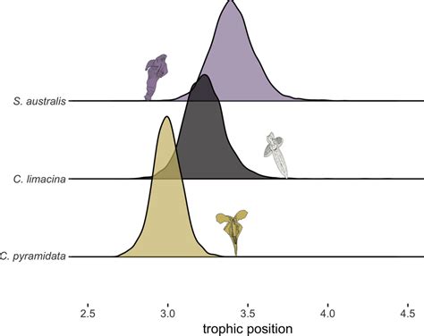 Bayesian Estimates Of Trophic Position Created From Markov Chain