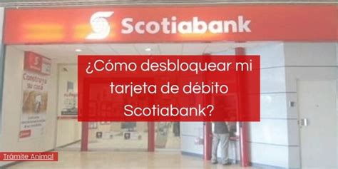 C Mo Consultar Saldo Scotiabank En Actualizado