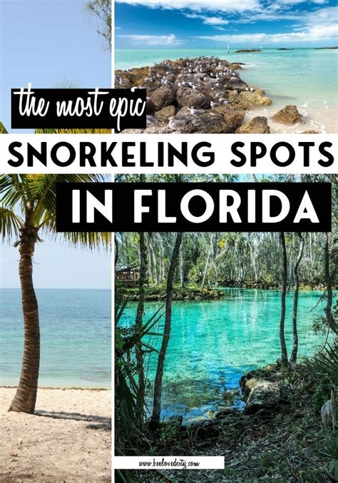 Best Places For Snorkeling In Florida That You Must Visit Beeloved