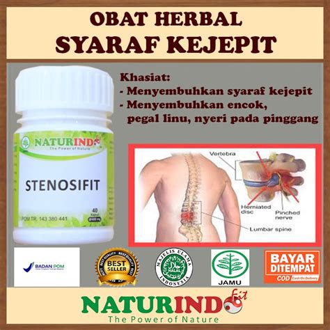 Jual Obat Saraf Kejepit Pinggang Obat Sakit Pinggang Obat Saraf Kejepit