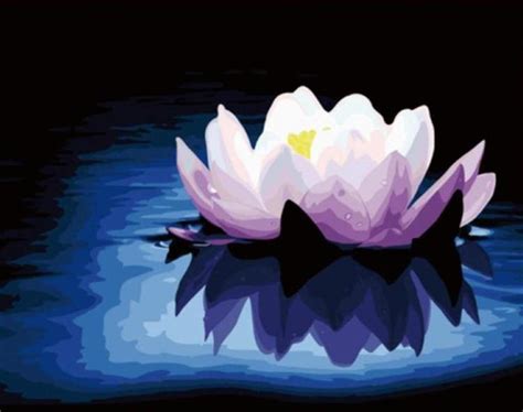 Lotus Acrylic Painting – Paint by Numbers Home