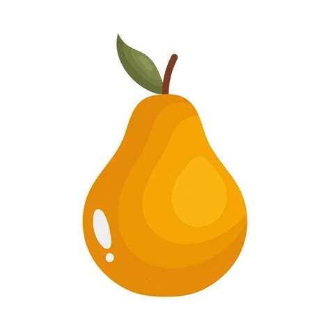 Pear Body Shape Vector Images Depositphotos