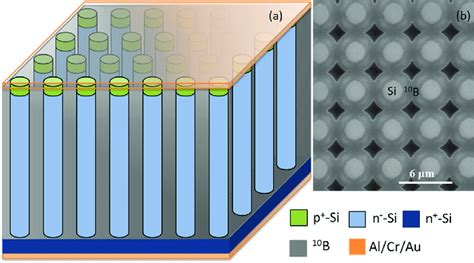 A Schematic Of A Pillar Structured Solid State Thermal Neutron