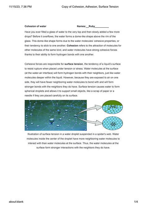 Solution Cohesion Adhesion Surface Tension Studypool