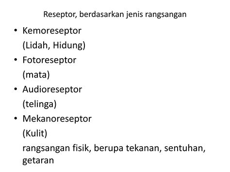 Sistem Indra Pada Manusia Ppt