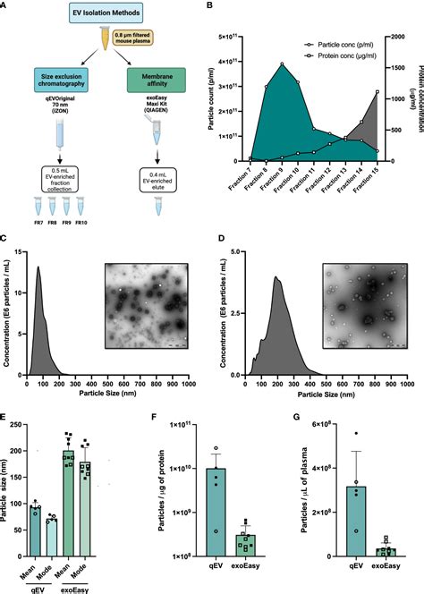 Framework For Rapid Comparison Of Extracellular Vesicle Off