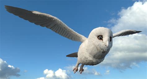 3D White Barn Owl Flying | 3D Molier International