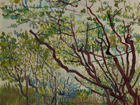 The White Orchard Van Gogh Print On Canvas Atelier Yuwa Ciao Jp