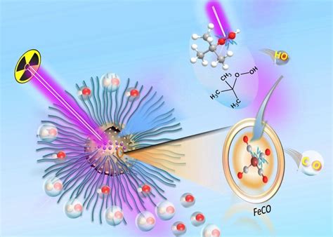 Efektivnější léčba rakoviny Speciální nanočástice zesilují účinek