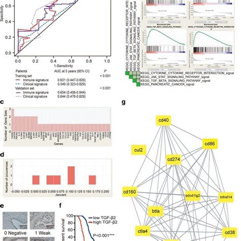 Validation Of Signatures For Predicting Survival And Potential