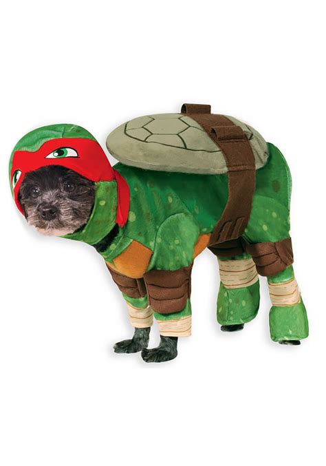 TMNT Raphael Pet Costume