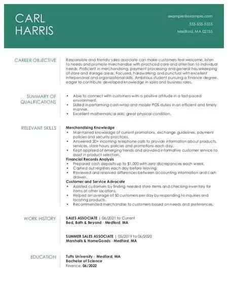 Resume Outline Examples For