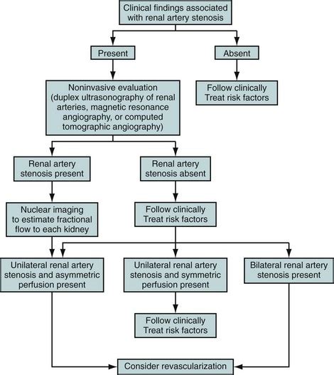 Renal Artery Hypertension | Radiology Key