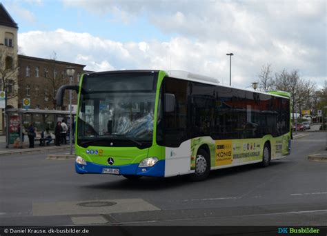 DK Busbilder Daniel Krause