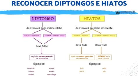 Ejercicios De Diptongo Triptongo Hiato Resueltos Paso A Paso