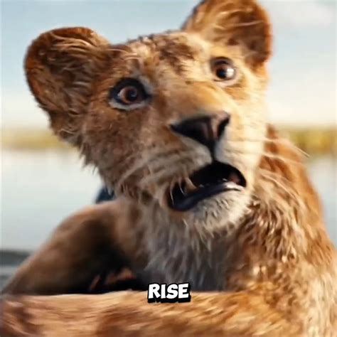 Mufasa Is Both A Lion King Prequel And A Sequel Shorts Youtube