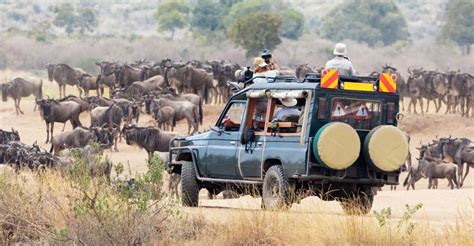 7 Tage Masai Mara Lake Nakuru Samburu Safari Im 4x4 Jeep GetYourGuide