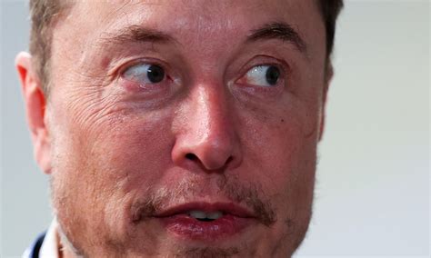 5 Claves Para Entender La Batalla Entre Elon Musk Y La Corte De Brasil