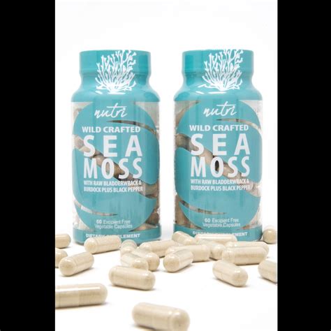 Wild Crafted Sea Moss | Wild Sea Moss | Nature's Fusions