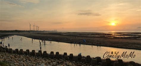 許厝港濕地 桃園大園景點 候鳥生態觀察 親子玩水踏浪 看夕陽、看風車秘境 可麗莫購物網