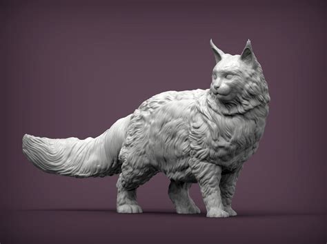 3d File Maine Coon 3d Print Model 🐱 ・3d Printing Design To Download・cults