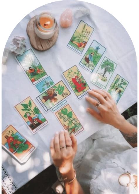 Tarot Dla Pocz Tkuj Cych Kurs Online Ro Linna Moc