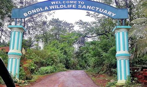 Bondla Wildlife Sanctuary Top 10 Tourist Attractions In Goa Top