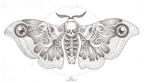 Moth Skull Tattoo Design