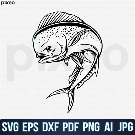 Mahi Mahi Angler Svg Mahi Mahi Fisch Svg Mahi Mahi Clipart Mahi Mahi