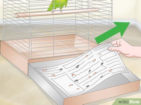 4 Ways to Clean a Parrotlet Cage - wikiHow Pet