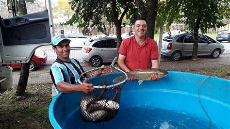 Lajeado Realiza Feira Do Peixe Vivo Nesta Sexta Feira 12 Revista News