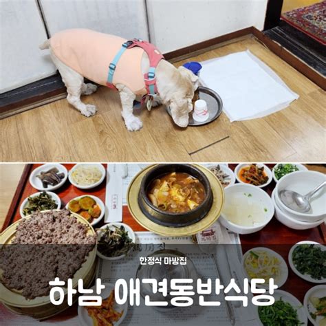 하남 애견동반식당 한정식 마방집 대형견도 가능 네이버 블로그