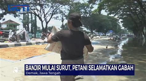 Banjir Mulai Surut Petani Di Demak Selamatkan Gabah SIP 17 02 YouTube