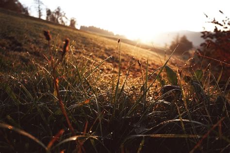 Manhã nas montanhas grama gotas de orvalho e amanhecer no fundo