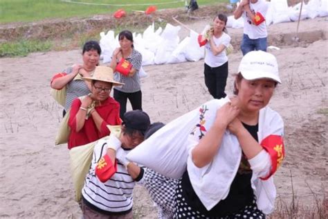 江洲镇女子突击队，出击在抗洪一线最前沿 风雨中的“她力量”（十四）澎湃号·政务澎湃新闻 The Paper