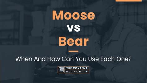 Moose vs Bear: When And How Can You Use Each One?