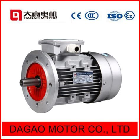 China Ye2ye3 30kw Squirrel Cage Asincrónico Trifásico Motor Eléctrico De Inducción De Hierro