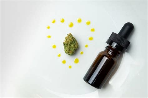 Cannabis Tincture Recipe Made Easy | Marijuana Seeds Canada