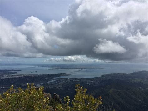 Mount Tamalpais - Mount Tamalpais State Park, CA | MyHikes