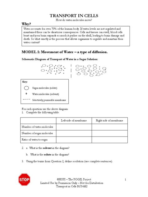 Transport In Cells Worksheet Pdf Osmosis Cell Membrane Worksheets Library