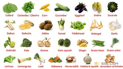 popular vegetables   world learn names