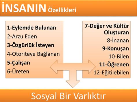 Eğitimin sosyal temelleri online presentation