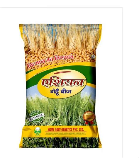 Hybrid Asian Premium Wheat Seeds 40 Kg Packaging Type Hdpe Bag At Rs 55 Kg In Indore