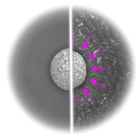 Nmf Home Nano And Microfluidics Tu Darmstadt