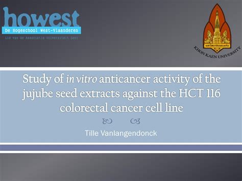 Study Of In Vitro Anticancer Activity Of The Jujube Seed Extracts