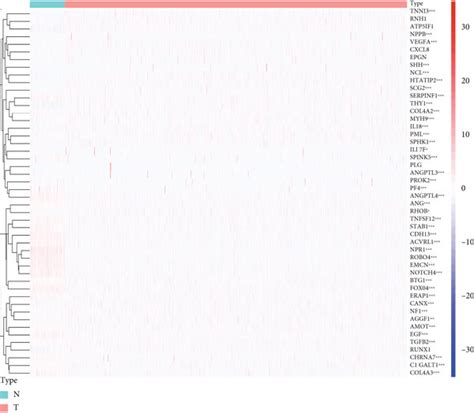 The Expression Of Angiogenesis Related Genes In Brca And The